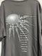 �ں߸ˤ����TOOL (�ȥ�����) SPECTRE SPIKE �֥��ڥ����������ѥ����� T����ġʥ��㥳���롦���졼�� XXL������