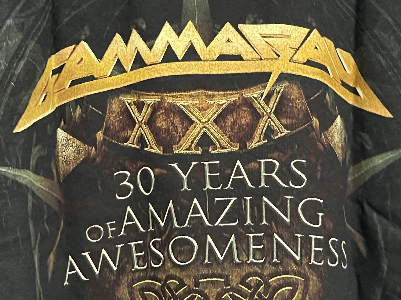 �ں߸�ͭ���GAMMA RAY (����ޡ��쥤) 30 YEARS GOLDEN LOGO ��30��ǯ��ǰ��������ǥ󡦥����� T����� M������