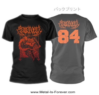 CAVALERA (���������) 1984 T�����