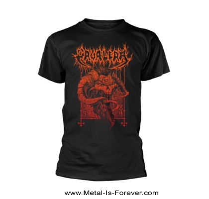 CAVALERA (���������) 1984 T�����