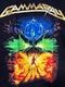 �ں߸ˤ����GAMMA RAY (����ޡ��쥤) TO THE METAL TOUR 2010 �֥ȥ��������᥿�롦�ĥ��� 2010�� T�����  L�������ڥ��쥯�����������ƥ��