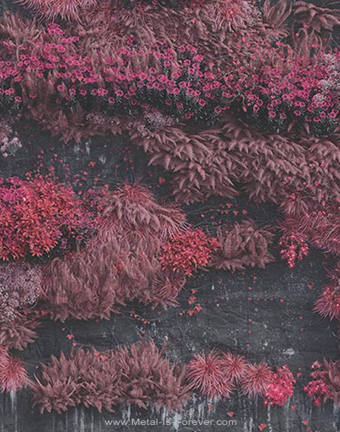 SLEEP TOKEN (���꡼�ס��ȡ�����) Even In Arcadia �֥������󡦥��󡦥��������ǥ����� �����ݥ�����