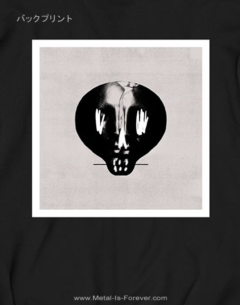 BULLET FOR MY VALENTINE (֥åȡեޥ󥿥) BULLET FOR MY VALENTINE ֥֥åȡեޥ󥿥 ѡ