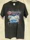 �ں߸ˤ����STRATOVARIUS (���ȥ�ȥ����ꥦ��) VISIONS �֥�������󥺡� �ԥ���� S������