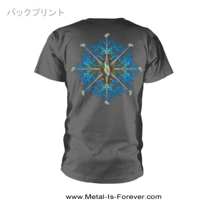 TOOL (�ȥ�����) Nerve Ending F&B �֥͡���������ǥ��󥰡�F&B�� �ԥ���ġʥ��졼��