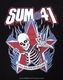SUM 41 (���ࡦ�ե����ƥ������) All Killer No Filler �֥����롦���顼���Ρ����ե��顼�ץ�����ȥ� ���󥯥ȥå�