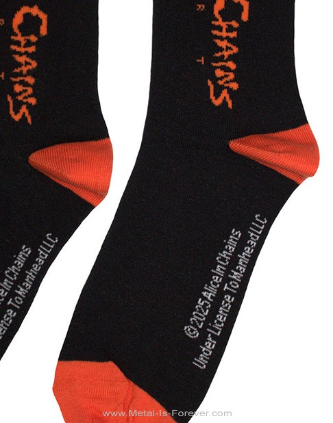 ALICE IN CHAINS (ꥹ󡦥) Logo֥ 