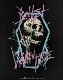 BULLET FOR MY VALENTINE (֥åȡեޥ󥿥) Thrash Skull ֥å塦 T