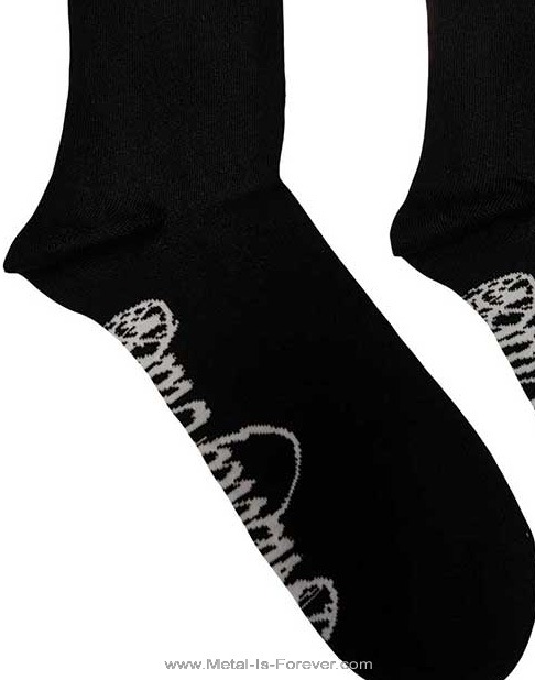 MOTLEY CRUE (ȥ꡼롼) Skull ֥ 