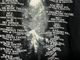 �ں߸ˤ����SONATA ARCTICA (���ʥ����������ƥ���) WHITE WOLF �֥ۥ磻�ȡ�����ա� 2016ǯ���ƥĥ��� �ԥ����  L�������ڥ��쥯�����������ƥ��