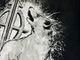 �ں߸ˤ����SONATA ARCTICA (���ʥ����������ƥ���) WHITE WOLF �֥ۥ磻�ȡ�����ա� 2016ǯ���ƥĥ��� �ԥ����  L�������ڥ��쥯�����������ƥ��