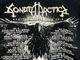 �ں߸ˤ����SONATA ARCTICA (���ʥ����������ƥ���) WHITE WOLF �֥ۥ磻�ȡ�����ա� 2016ǯ���ƥĥ��� �ԥ����  L�������ڥ��쥯�����������ƥ��