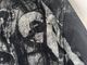 �ں߸�ͭ���METALLICA (�᥿�ꥫ) STONED JUSTICE �֥��ȡ��󡦥��㥹�ƥ����� �����륪���С�T����� L������