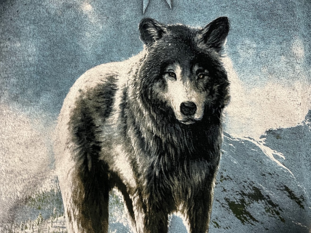 �ں߸ˤ����SONATA ARCTICA (���ʥ����������ƥ���) PARIAHS CHILD �֥ѥ饤���������㥤��ɡ� 2016ǯ���ƥĥ��� �ԥ����  M�������ڥ��쥯�����������ƥ��