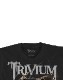 TRIVIUM (�ȥ��������) Perched Dragon �֥ѡ������ɥ饴��� �ԥ����
