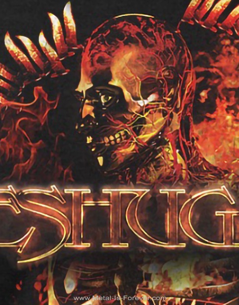 MESHUGGAH (�᥷�奬��) Immutable �֥��ߥ塼���֥�ץʥ��� T�����