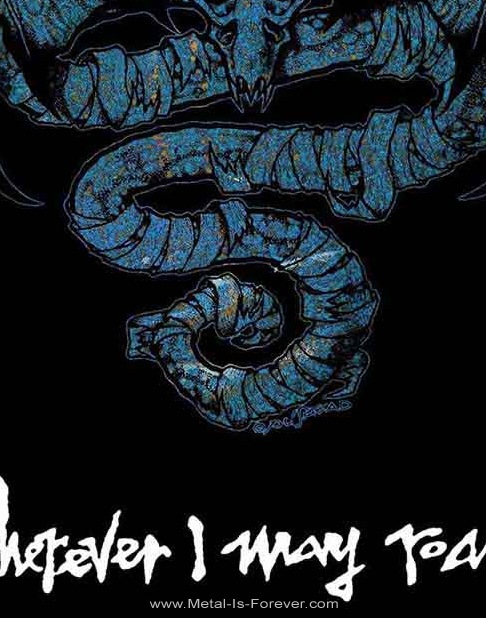 METALLICA (᥿ꥫ) Wherever I May Roam ֥ۥᥤץХåѥå