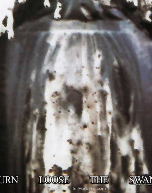 MY DYING BRIDE (ޥ󥰡֥饤) Turn Loose The Swans ݥ
