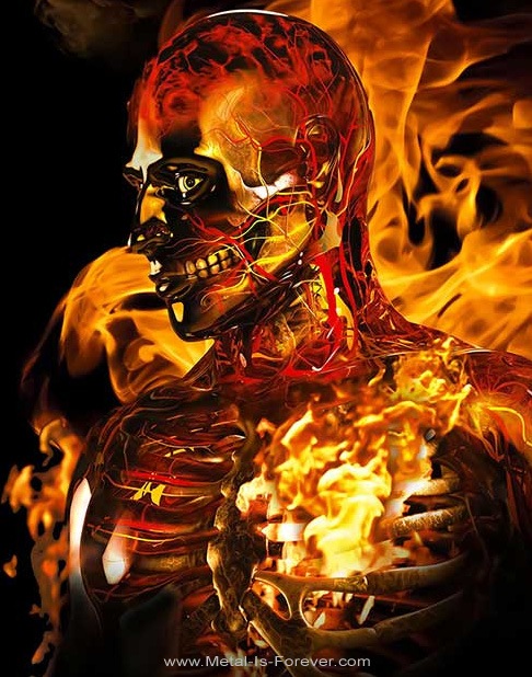 MESHUGGAH (�᥷�奬��) Immutable �֥��ߥ塼���֥�� �Хå��ѥå�