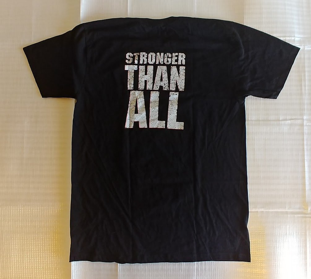 【在庫有り】PANTERA (パンテラ) Vulgar Display of Power 「俗悪」 Tシャツ Sサイズ