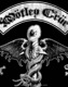 MOTLEY CRUE (ȥ꡼롼) Hollywood ֥ϥꥦåɡ ݥ
