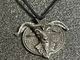 �ں߸ˤ����DIMMU BORGIR (�ǥ��ࡦ�ܥ륮��) Goat �֥����ȡ� �ڥ����ȡڥ��쥯�����������ƥ��