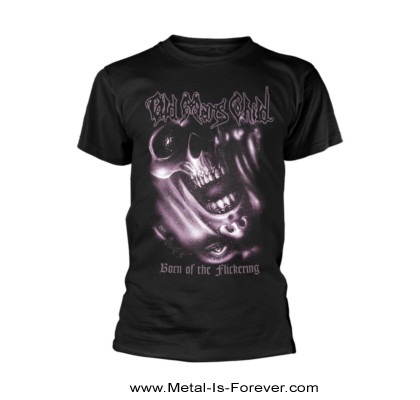 OLD MAN'S CHILD�ʥ�����ɡ��ޥ󥺡����㥤��ɡ�Born Of The Flickering �֥ܡ��󡦥��֡������ե�å���󥰡ףԥ����