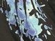 �ں߸ˤ����SONATA ARCTICA (���ʥ����������ƥ���) WOLF SCRATCH �֥���ա�������å��� Ĺµ�ԥ����  L�������ڥ��쥯�����������ƥ��