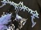 �ں߸ˤ����SONATA ARCTICA (���ʥ����������ƥ���) WOLF SCRATCH �֥���ա�������å��� Ĺµ�ԥ����  L�������ڥ��쥯�����������ƥ��
