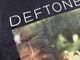 �ں߸ˤ����DEFTONES (�ǥեȡ���) Saturday Night Wrist �֥����ǥ����ʥ��ȡ��ꥹ�ȡ� �ԥ���� S������