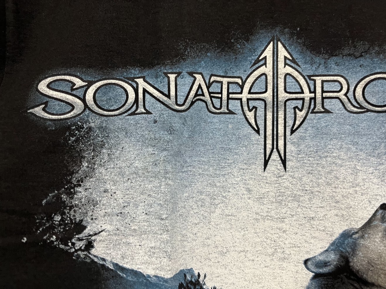 �ں߸ˤ����SONATA ARCTICA (���ʥ����������ƥ���) The Last Amazing Grays �֥����饹�ȡ����ᥤ���󥰡����쥤���ץ���� T�����  M�������ڥ��쥯�����������ƥ��