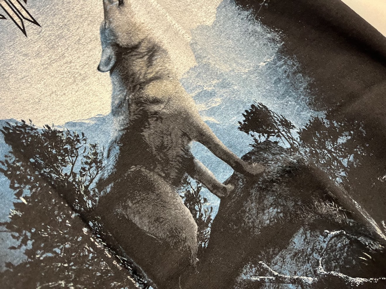 �ں߸ˤ����SONATA ARCTICA (���ʥ����������ƥ���) The Last Amazing Grays �֥����饹�ȡ����ᥤ���󥰡����쥤���ץ���� T�����  M�������ڥ��쥯�����������ƥ��