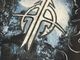�ں߸ˤ����SONATA ARCTICA (���ʥ����������ƥ���) The Last Amazing Grays �֥����饹�ȡ����ᥤ���󥰡����쥤���ץ���� T�����  M�������ڥ��쥯�����������ƥ��