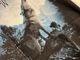 �ں߸ˤ����SONATA ARCTICA (���ʥ����������ƥ���) The Last Amazing Grays �֥����饹�ȡ����ᥤ���󥰡����쥤���ץ���� T�����  M�������ڥ��쥯�����������ƥ��