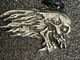 �ں߸ˤ����METALLICA (�᥿�ꥫ) Flaming Skull�֥ե쥤�ߥ󥰡�������ץڥ����ȡڥ��쥯�����������ƥ��