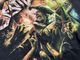 �ں߸ˤ����DESTRUCTION (�ǥ��ȥ饯�����) THE CURSE OF THE ANTICHRIST - LIVE IN AGONY ��ǥ����� �ԥ���� S�������ڥ��쥯�����������ƥ��