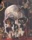 SLAYER (쥤䡼) South Of Heaven ֥֡إ ܥǥХå