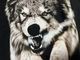 �ں߸ˤ����SONATA ARCTICA (���ʥ����������ƥ���) BROWN SAKE OF REVENGE �֥֥饦�󡦥�������������������󥸡� T����� L�������ڥ��쥯�����������ƥ��