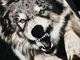 �ں߸ˤ����SONATA ARCTICA (���ʥ����������ƥ���) BROWN SAKE OF REVENGE �֥֥饦�󡦥�������������������󥸡� T����� L�������ڥ��쥯�����������ƥ��