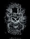 GUNS N' ROSES (���󥺡�����ɡ���������) FADED SKULL �֥ե����ǥåɡ�������� �饰���ʬµ�ԥ����