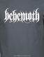 BEHEMOTH (٥ҡ⥹) White Logo ֥ۥ磻ȡףԥġʥ㥳롦졼