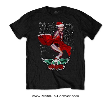 AEROSMITH (���������ߥ�) ROBO SANTA �֥��ܡ����󥿡� �ԥ����