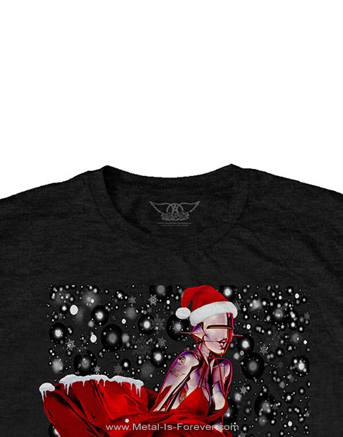 AEROSMITH (���������ߥ�) ROBO SANTA �֥��ܡ����󥿡� �ԥ����