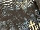 �ں߸ˤ����PRIMAL FEAR (�ץ饤�ޥ롦�ե���) DELIVERING THE BLACK �֥ǥ������󥰡������֥�å���T����� S�������ڥ��쥯�����������ƥ��