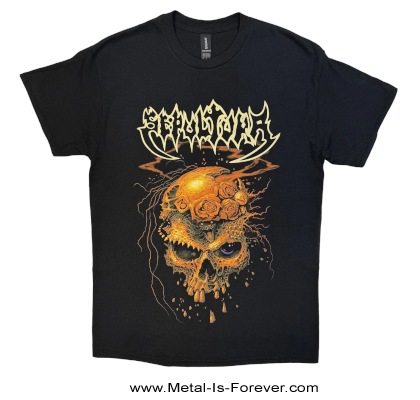 SEPULTURA (���ѥ�ȥ���) Beneath The Remains�֥ӥˡ�����������ᥤ�󥺡� T�����