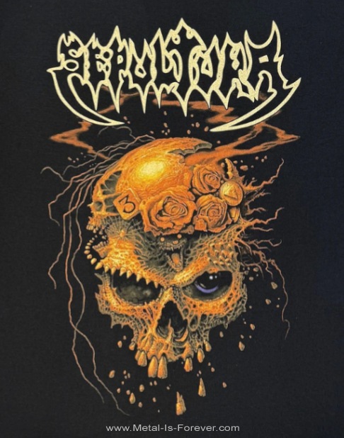 SEPULTURA (���ѥ�ȥ���) Beneath The Remains�֥ӥˡ�����������ᥤ�󥺡� T�����