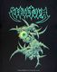 SEPULTURA (���ѥ�ȥ���) Arise Tribal S�֥��饤�����ȥ饤�֡�S�� T�����