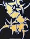 SEPULTURA (���ѥ�ȥ���) Chaos A.D.�֥�������A.D.�� T�����