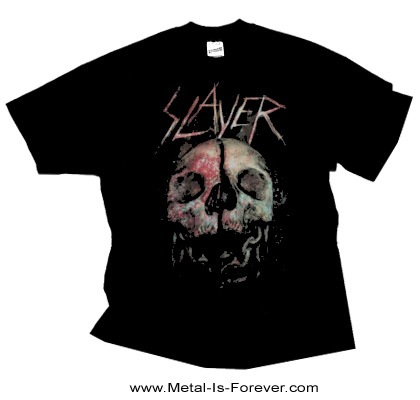 SLAYER -쥤䡼- CLEAVED SKULL ֥꡼ ԥ