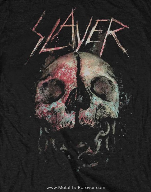 SLAYER -쥤䡼- CLEAVED SKULL ֥꡼ ԥ